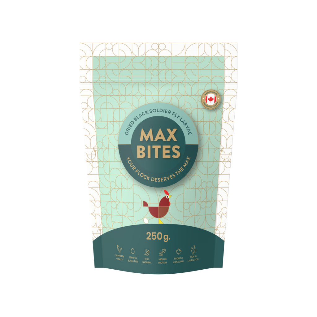 Trial Pack